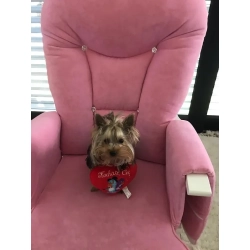 Tkanina flok róż, granat